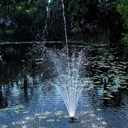 Picture for category OASE Floating Fountains