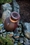 Aquascape Leaning Vase Fountain 16"- European Terra Cotta