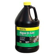 CC073-1G-Algae-D-Solv