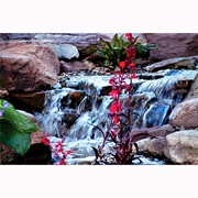 Picture for category Atlantic Water Gardens Pond Free Waterfall Kits
