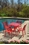 Alfresco Lasso Café Set with 31.5" Sqaure Café Table with Umbrella Hole and 4 Stackable Café Chairs in Candy Red Finish
