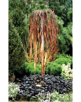 AquaBella Weeping Willow Fountain Tree